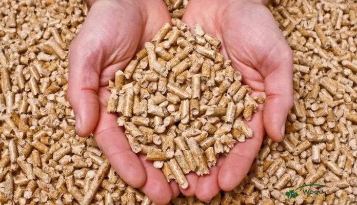 Pellet di legno vs riscaldamento a gas: chi vince Acquista pellet di legno certificato per il riscaldamento in Italia