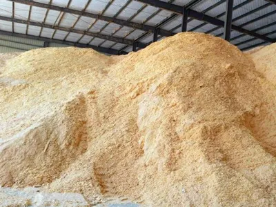 Composting with Pine Sawdust