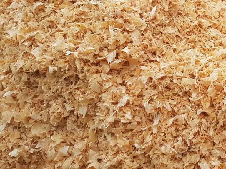 Cumpărați așchii de pin