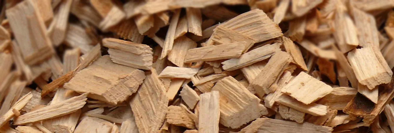 Which Wood Chips Are Best for the Garden