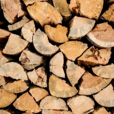 Hardwood vs Softwood Firewood