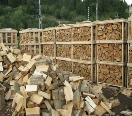 Best Firewood to Burn: Most UK Buyers Pick Wrong! firewood