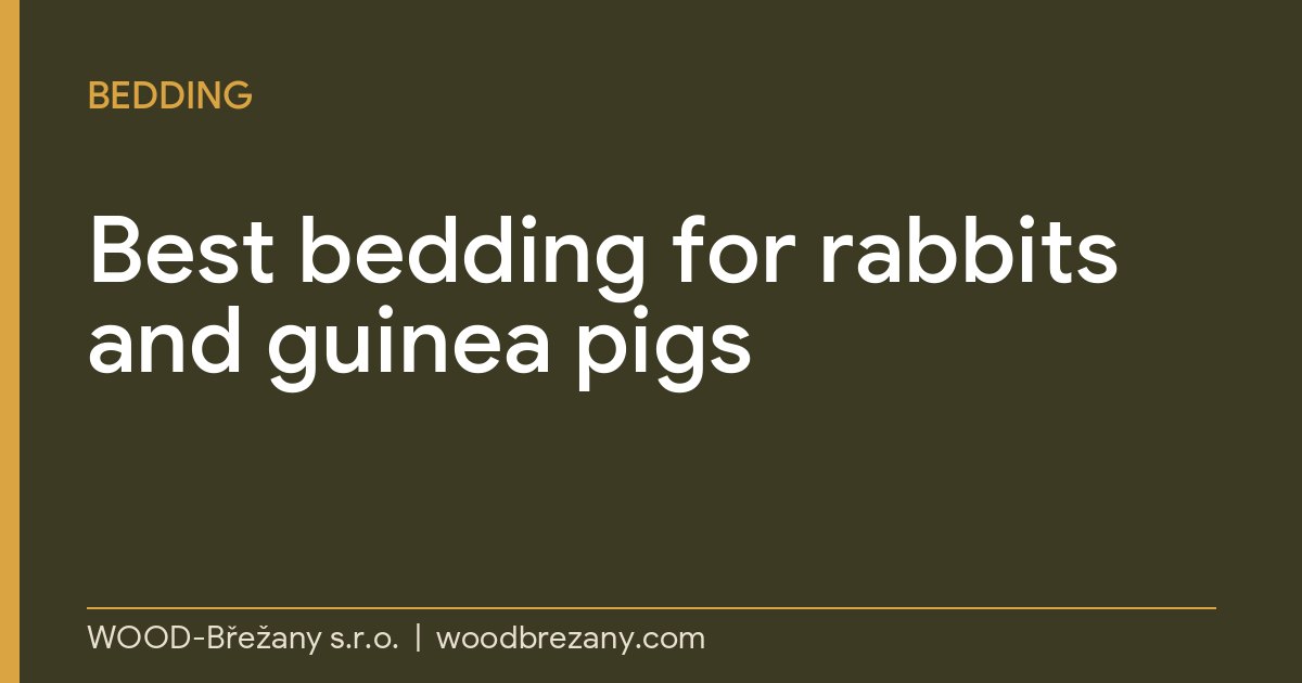 Best Bedding for Rabbits and Guinea Pigs: Shavings, Pellets, Paper or Hay Best bedding for rabbits and guinea pigs