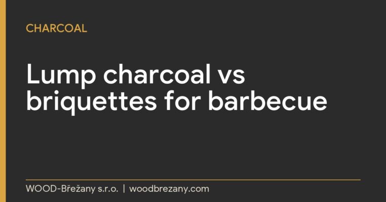 Carbón vegetal en trozos vs briquetas para barbacoa: ¿cuál usar? Carbón vegetal en trozos comparado con briquetas de carbón para barbacoa